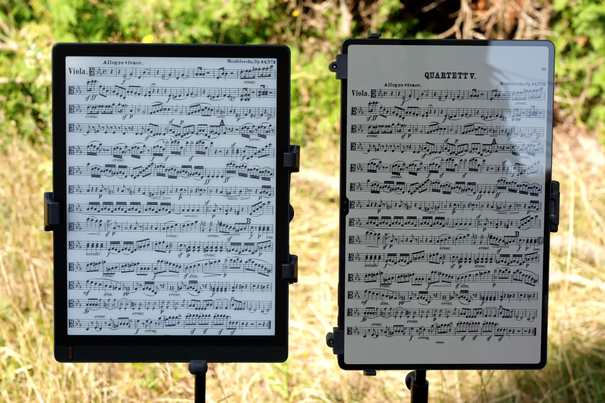 Onyx Boox Tab X (e-reader) vs Samsung Galaxy Tab S9 Ultra (tableta Android) afuera bajo el sol